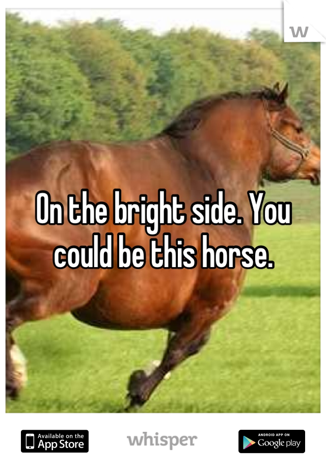 On the bright side. You could be this horse.