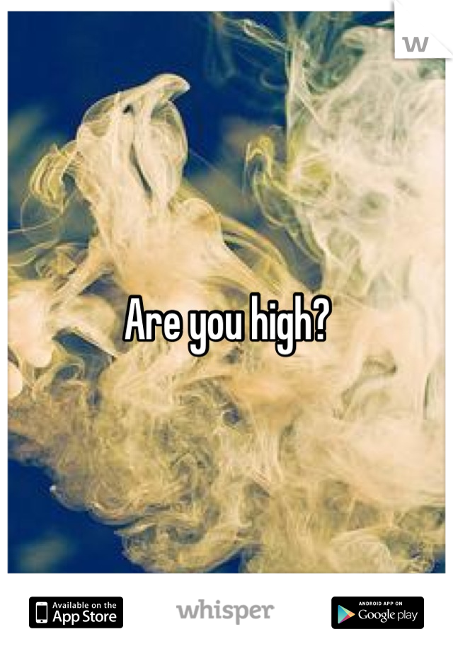 Are you high?
