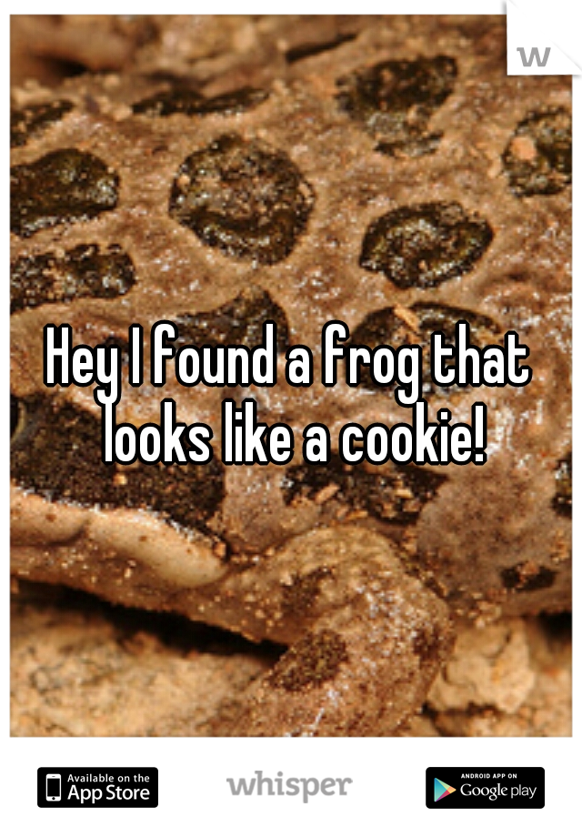 Hey I found a frog that looks like a cookie!