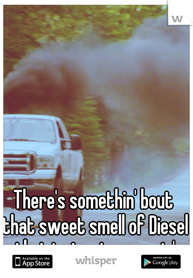 There's somethin' bout that sweet smell of Diesel that just gets me goin'
