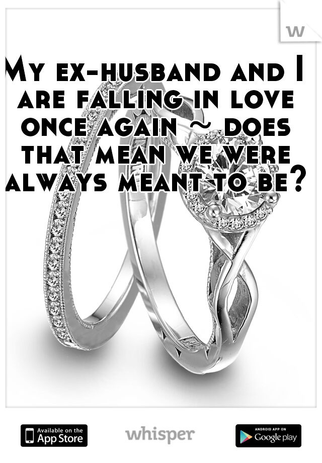My ex-husband and I are falling in love once again ~ does that mean we were always meant to be?