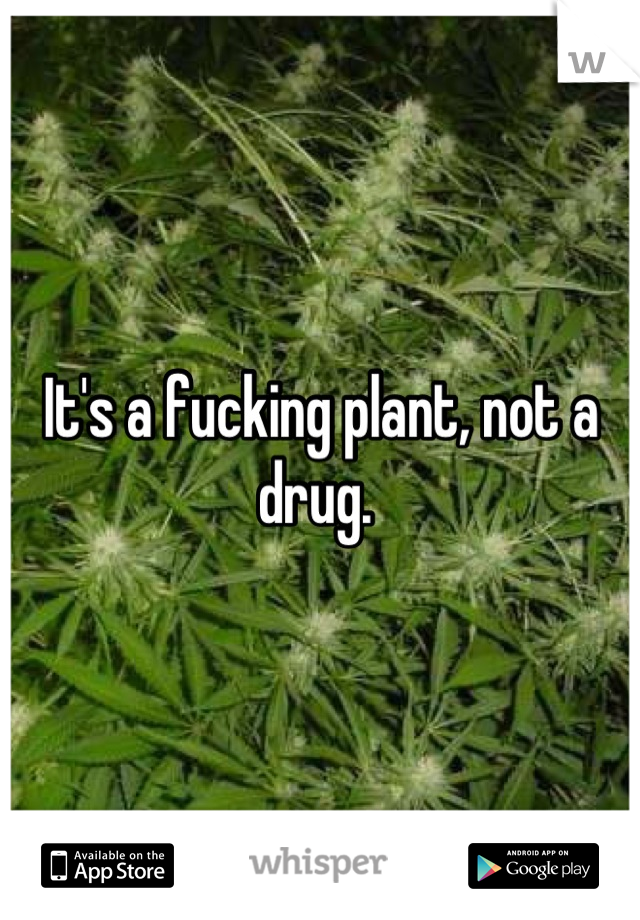It's a fucking plant, not a drug. 
