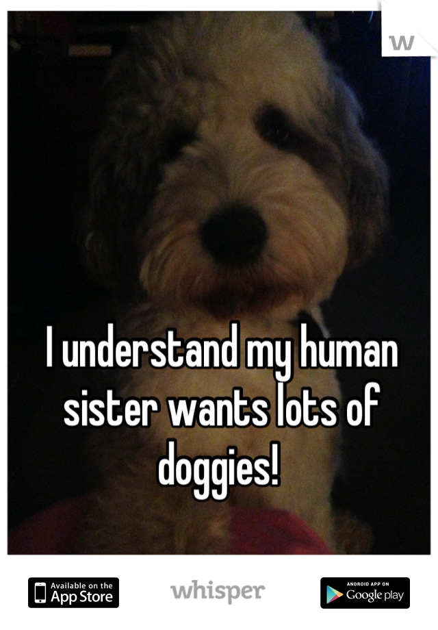 I understand my human sister wants lots of doggies! 