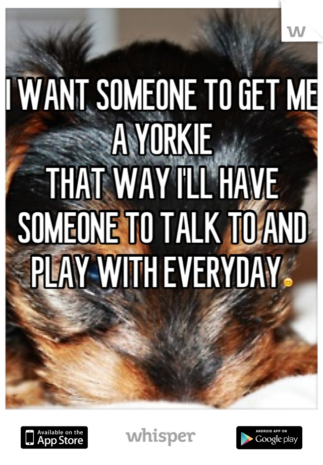 I WANT SOMEONE TO GET ME A YORKIE
THAT WAY I'LL HAVE SOMEONE TO TALK TO AND PLAY WITH EVERYDAY😊


