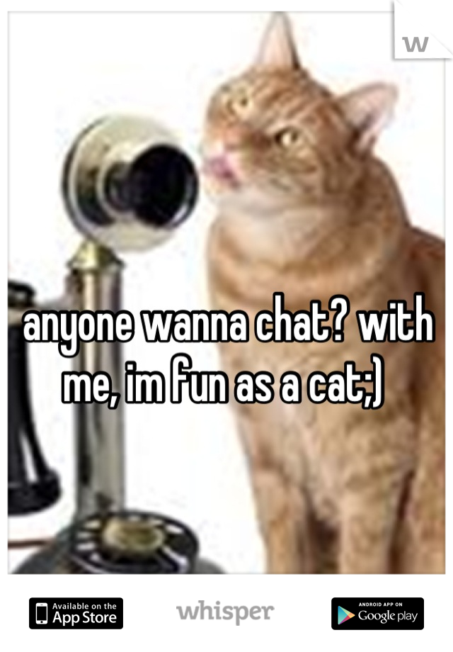 anyone wanna chat? with me, im fun as a cat;) 