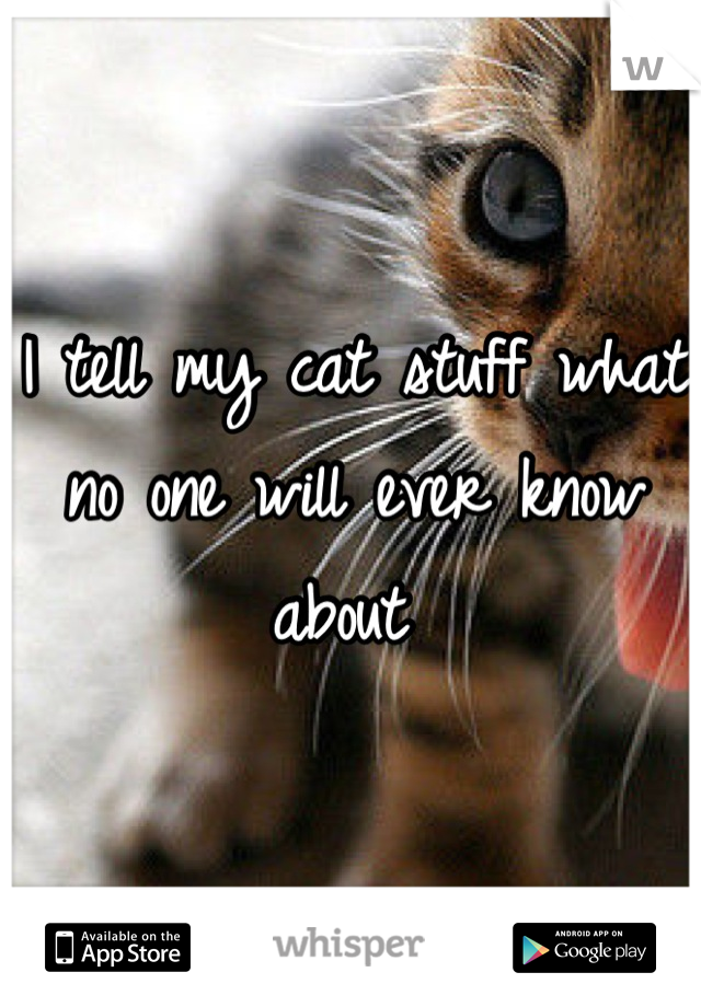 I tell my cat stuff what no one will ever know about 