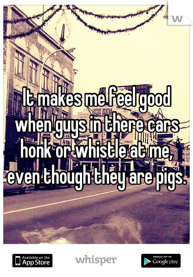 It makes me feel good when guys in there cars honk or whistle at me, even though they are pigs.