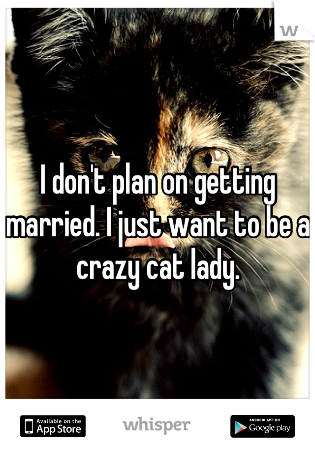 I don't plan on getting married. I just want to be a crazy cat lady.