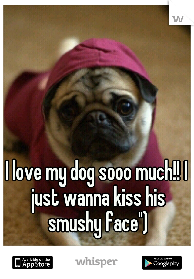 I love my dog sooo much!! I just wanna kiss his smushy face")