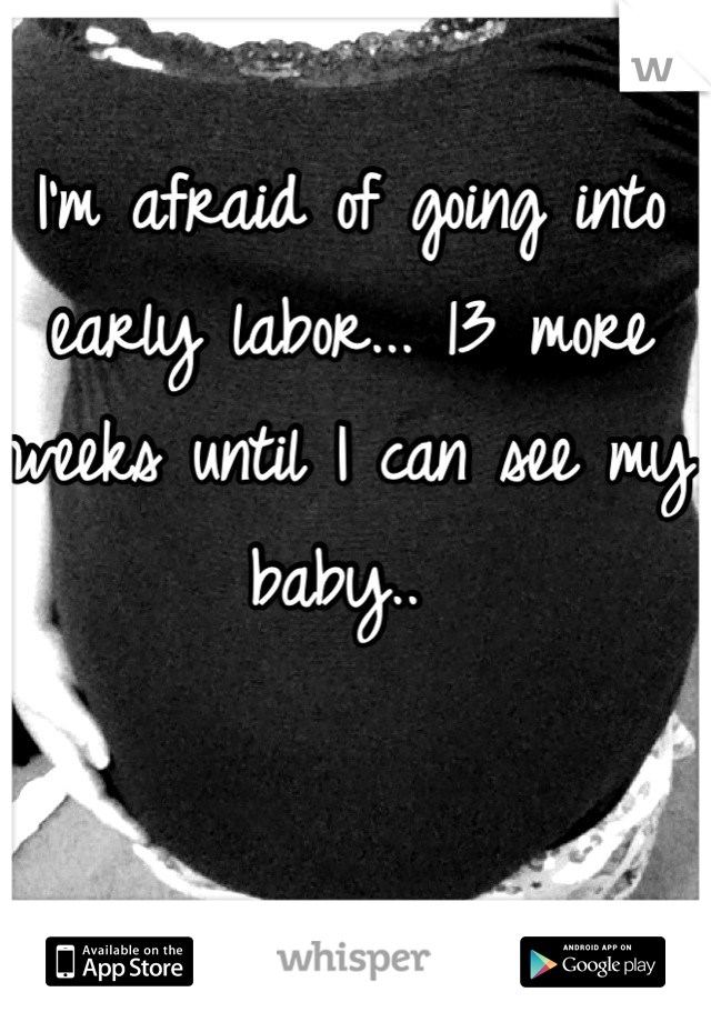 I'm afraid of going into early labor... 13 more weeks until I can see my baby.. 