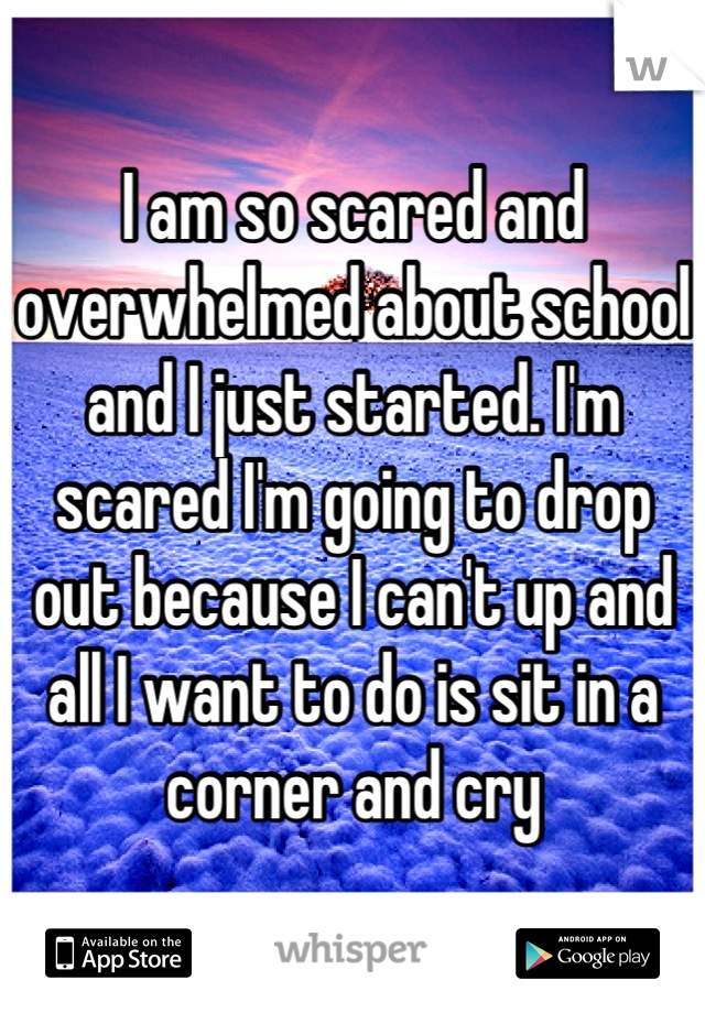 I am so scared and overwhelmed about school and I just started. I'm scared I'm going to drop out because I can't up and all I want to do is sit in a corner and cry