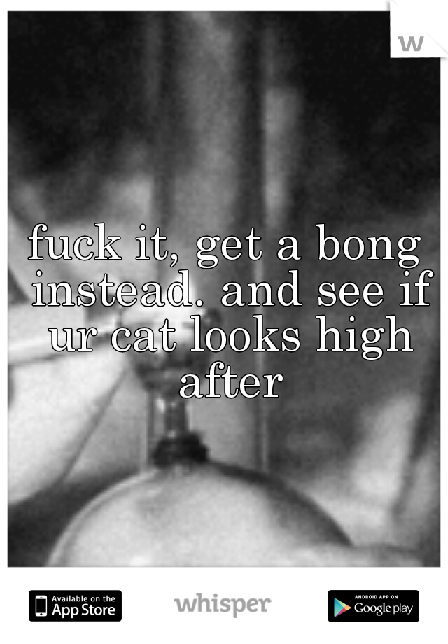 fuck it, get a bong instead. and see if ur cat looks high after