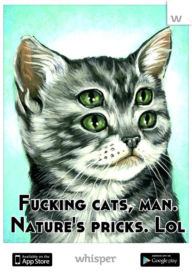 Fucking cats, man. Nature's pricks. Lol