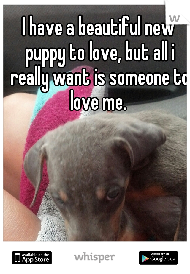 I have a beautiful new puppy to love, but all i really want is someone to love me. 