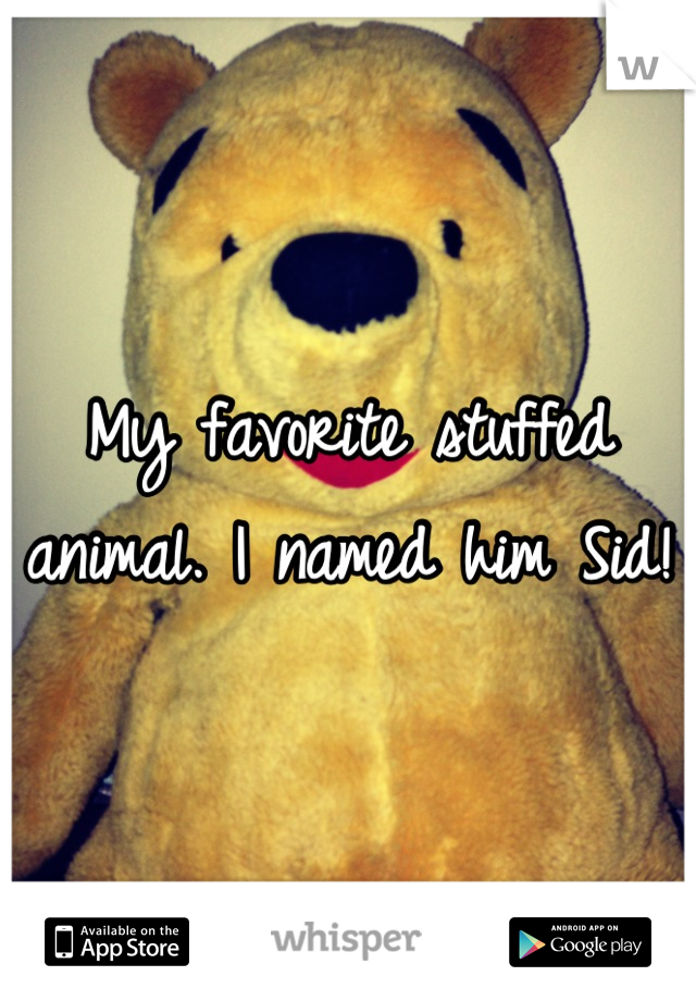My favorite stuffed animal. I named him Sid! 