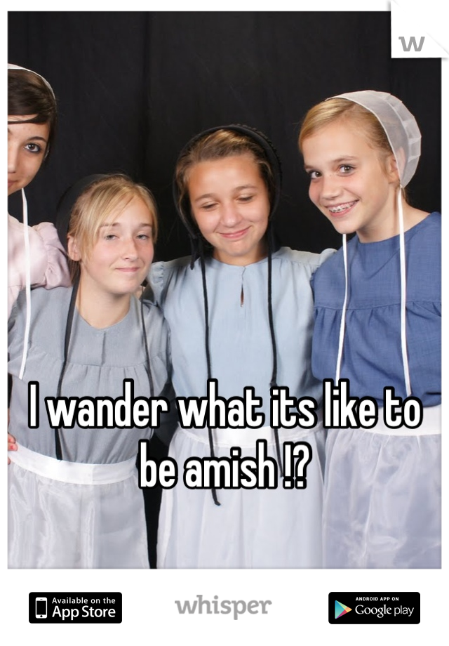 I wander what its like to be amish !?