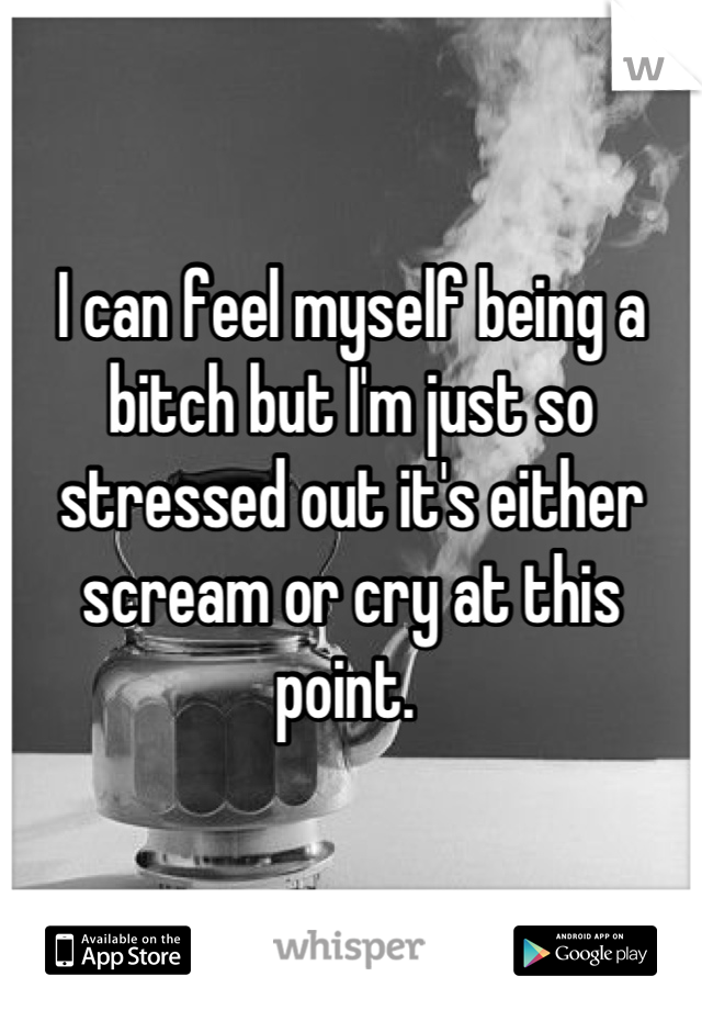 I can feel myself being a bitch but I'm just so stressed out it's either scream or cry at this point. 