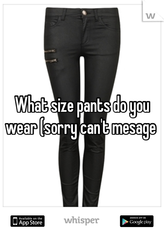 What size pants do you wear (sorry can't mesage 