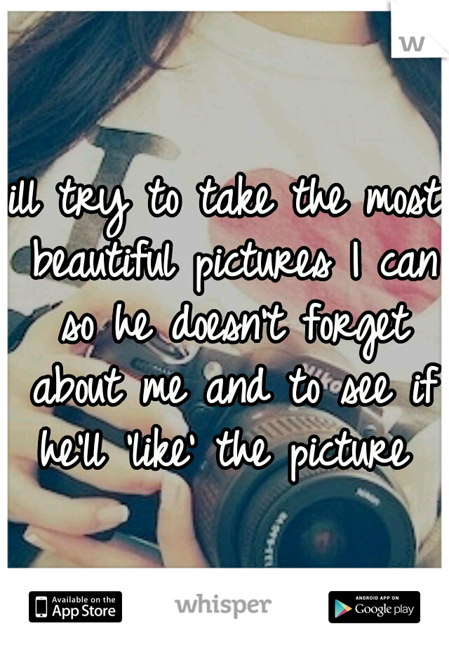 ill try to take the most beautiful pictures I can so he doesn't forget about me and to see if he'll 'like' the picture 