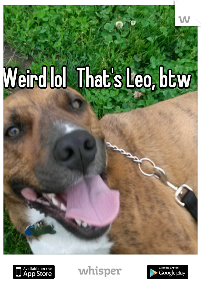 Weird lol
That's Leo, btw