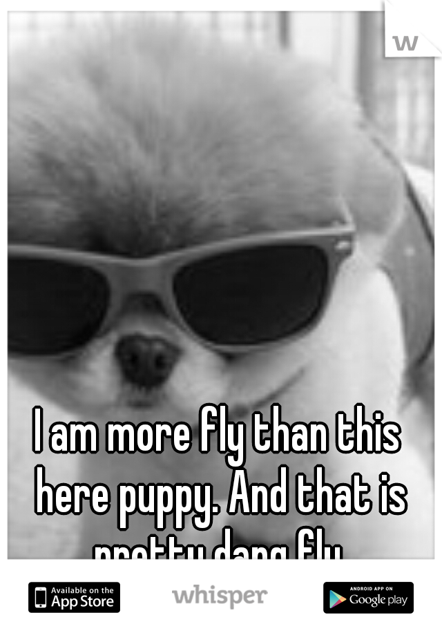 I am more fly than this here puppy. And that is pretty dang fly.