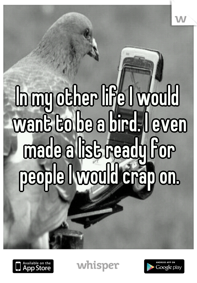 In my other life I would want to be a bird. I even made a list ready for people I would crap on.