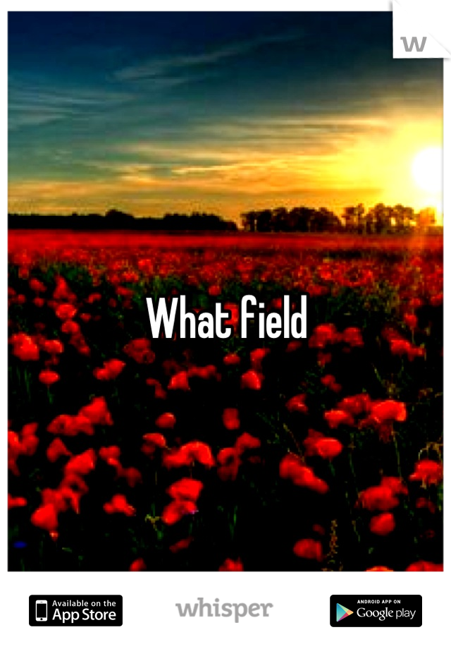 What field