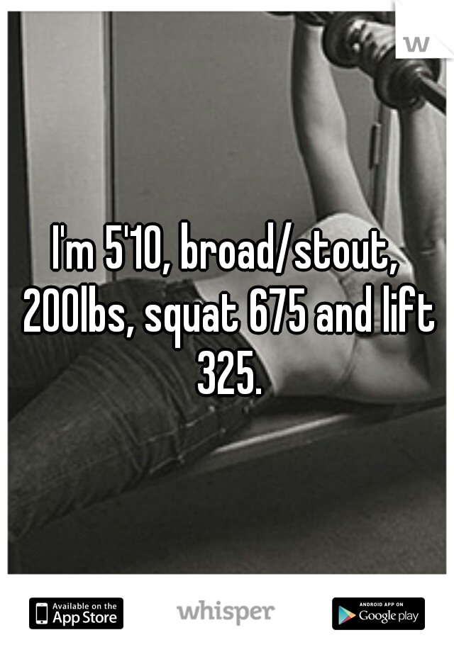 I'm 5'10, broad/stout, 200lbs, squat 675 and lift 325.