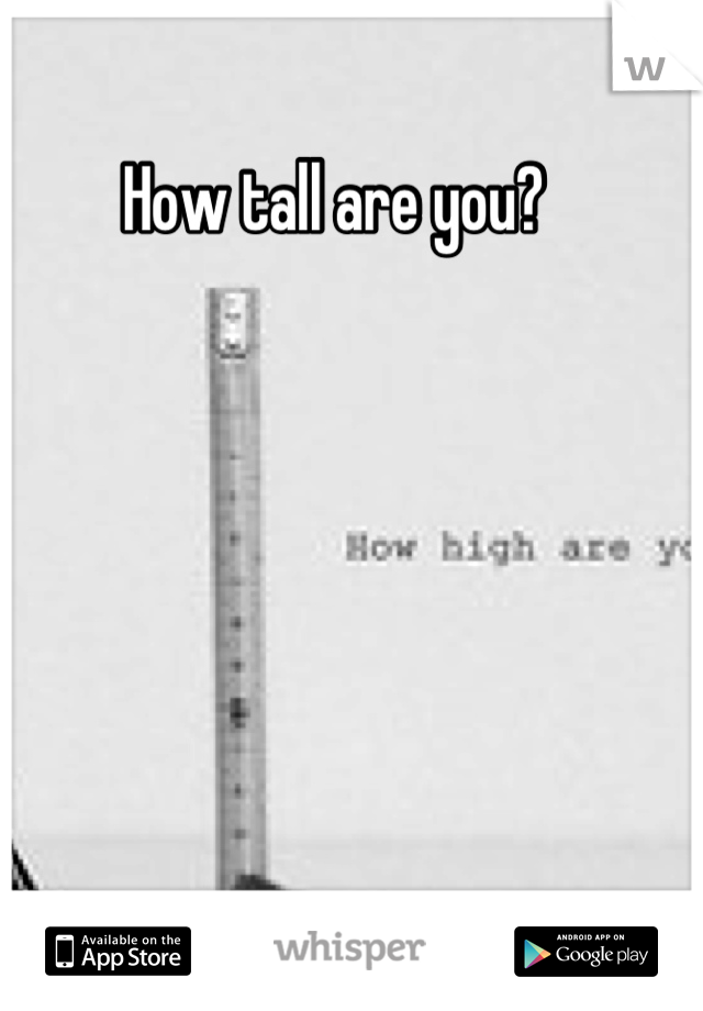 How tall are you? 