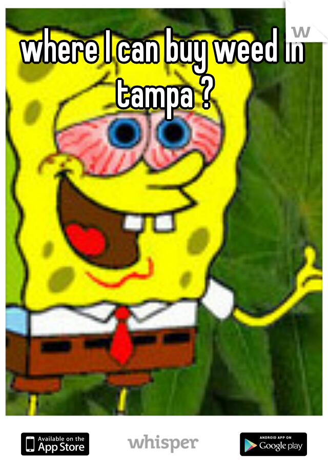 where I can buy weed in tampa ?