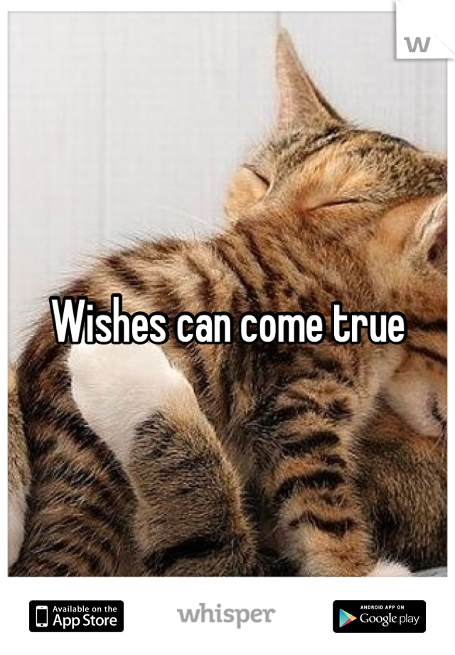 Wishes can come true