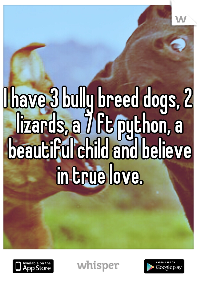 I have 3 bully breed dogs, 2 lizards, a 7 ft python, a beautiful child and believe in true love.