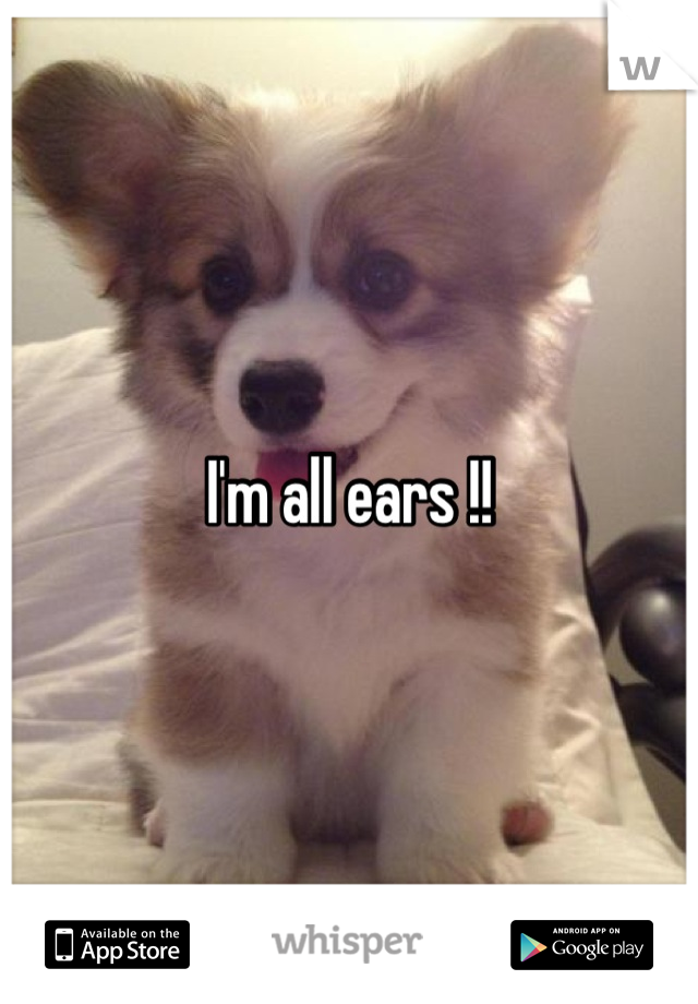 I'm all ears !!