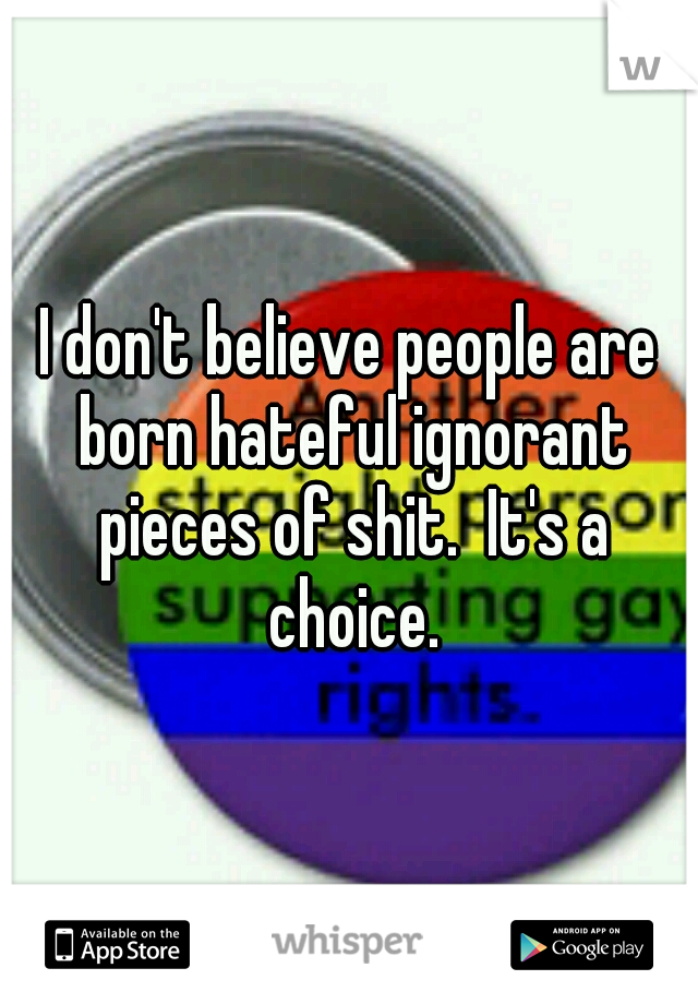 I don't believe people are born hateful ignorant pieces of shit.  It's a choice.