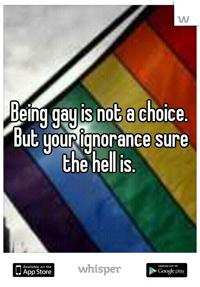 Being gay is not a choice. But your ignorance sure the hell is. 