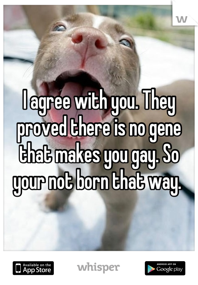 I agree with you. They proved there is no gene that makes you gay. So your not born that way. 