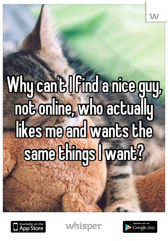 Why can't I find a nice guy, not online, who actually likes me and wants the same things I want?