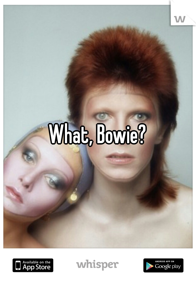What, Bowie?