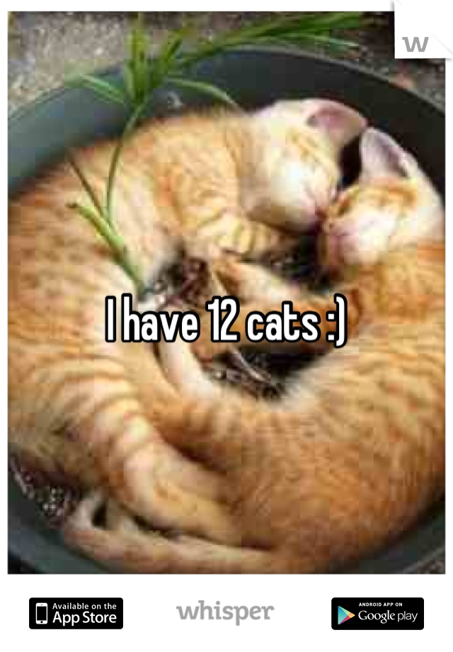 I have 12 cats :)