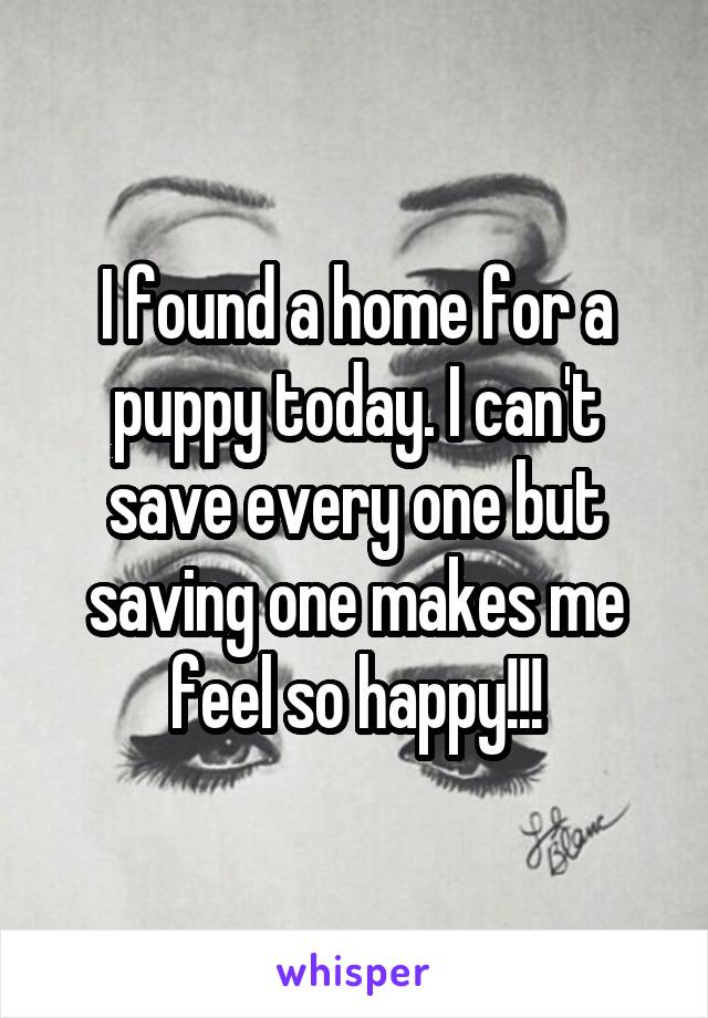 I found a home for a puppy today. I can't save every one but saving one makes me feel so happy!!!