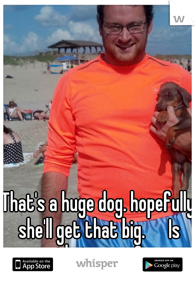 That's a huge dog. hopefully she'll get that big. 

Is that yours?