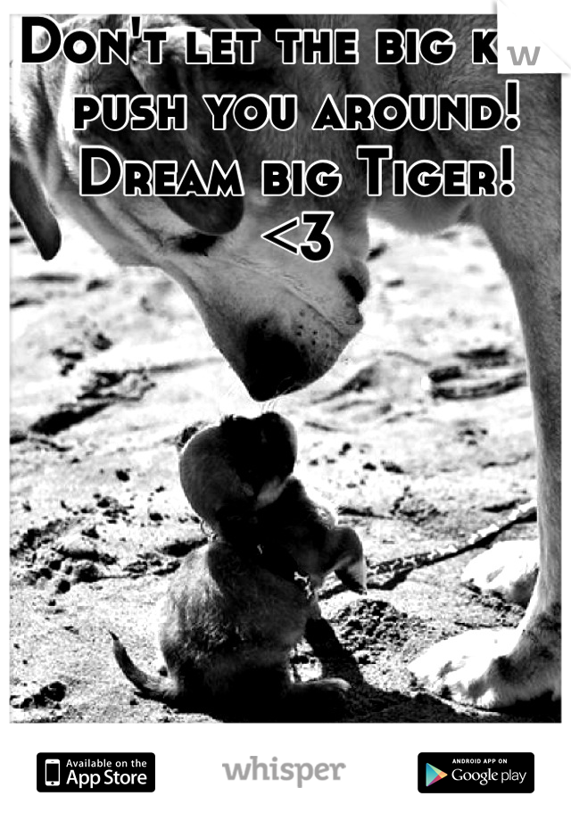Don't let the big kids push you around!
Dream big Tiger!
<3