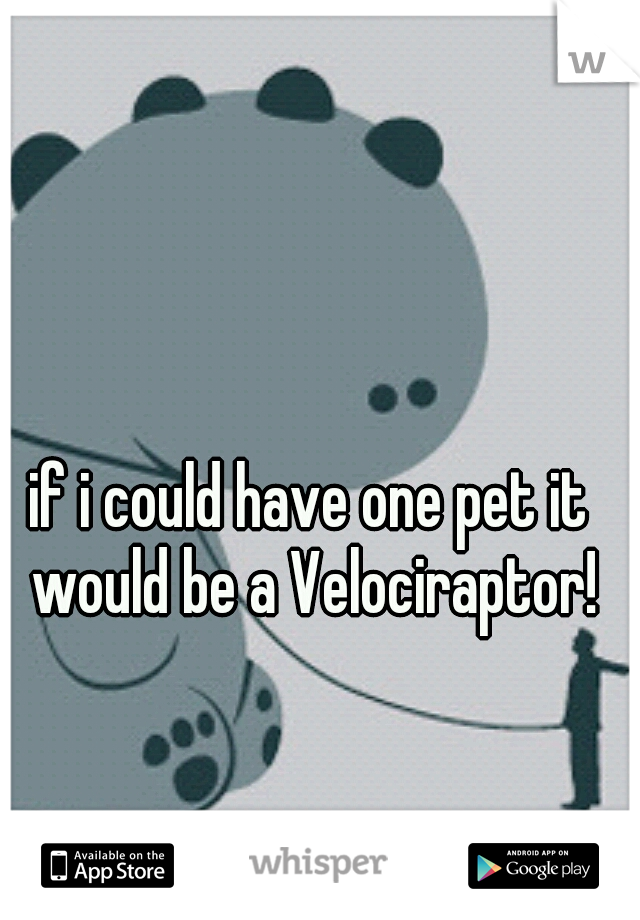 if i could have one pet it would be a Velociraptor!