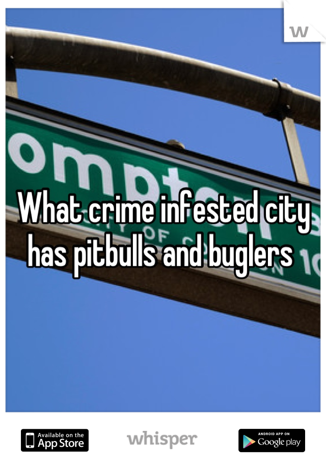What crime infested city has pitbulls and buglers 