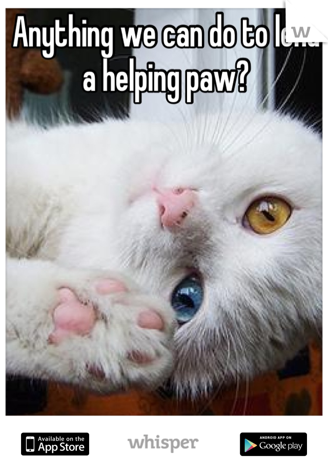 Anything we can do to lend a helping paw?