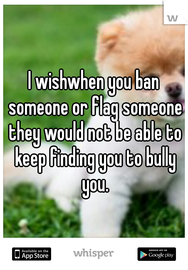 I wishwhen you ban someone or flag someone they would not be able to keep finding you to bully you.