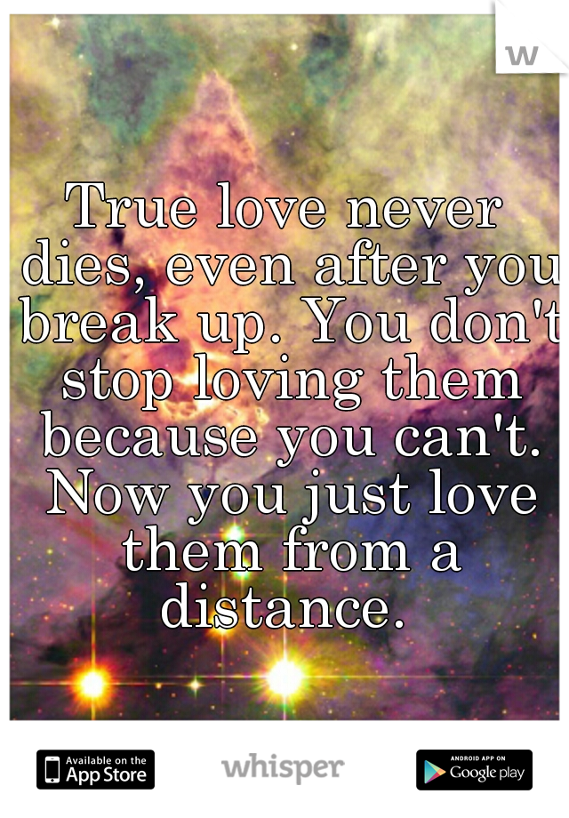 True love never dies, even after you break up. You don't stop loving them because you can't. Now you just love them from a distance. 