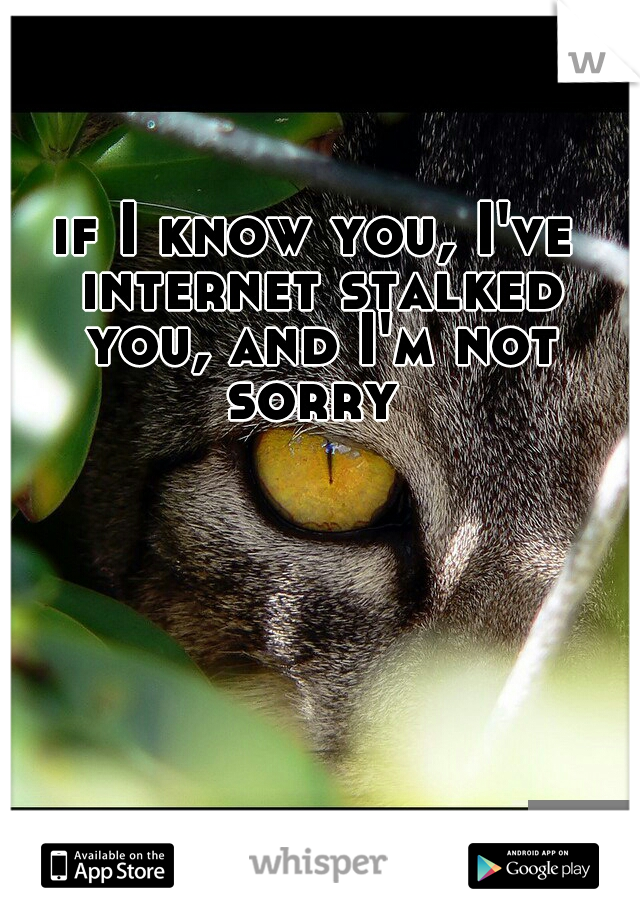 if I know you, I've internet stalked you, and I'm not sorry 