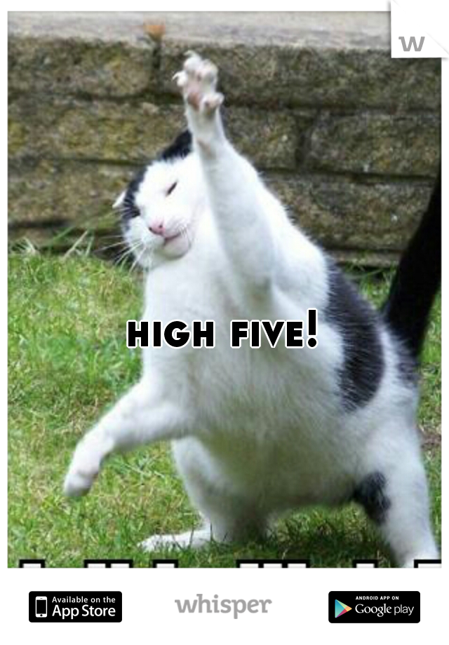 high five!!