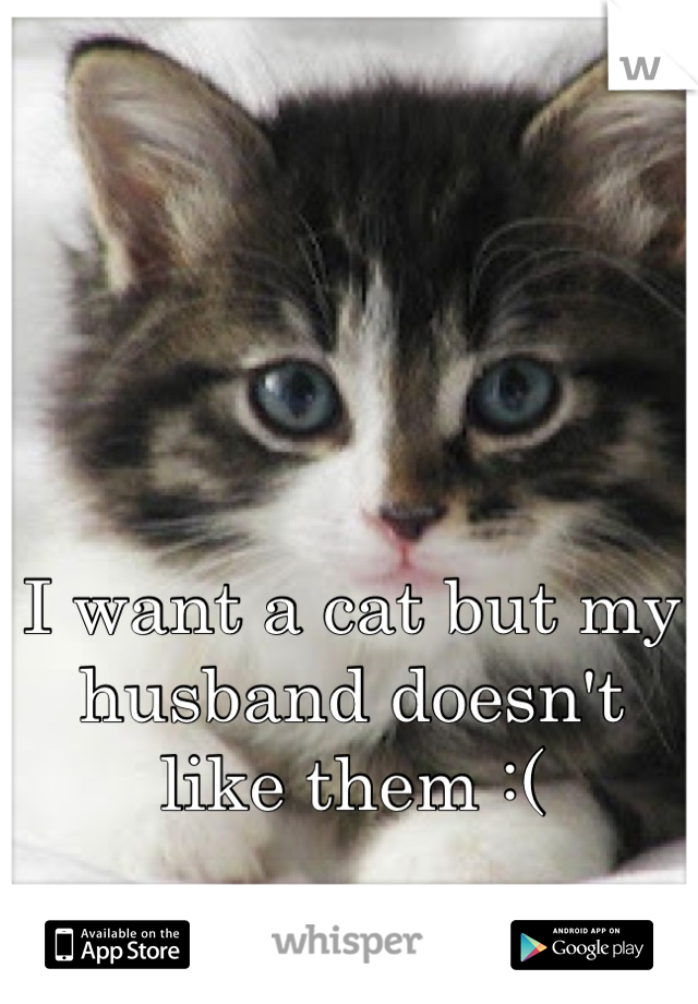 I want a cat but my husband doesn't like them :(